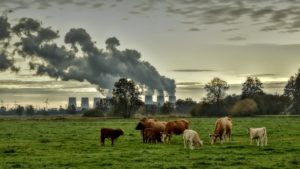 pxclimateaction, climate protection, climate change-7129877.jpg